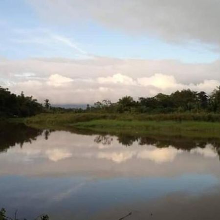 Villa Casa Flor De Annia ~ Cozy 2 Bdrm On The River Sierpe ~ Walkable To Town Exterior foto