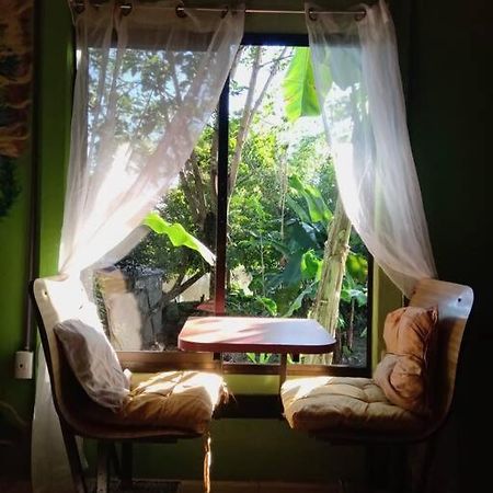 Villa Casa Flor De Annia ~ Cozy 2 Bdrm On The River Sierpe ~ Walkable To Town Exterior foto