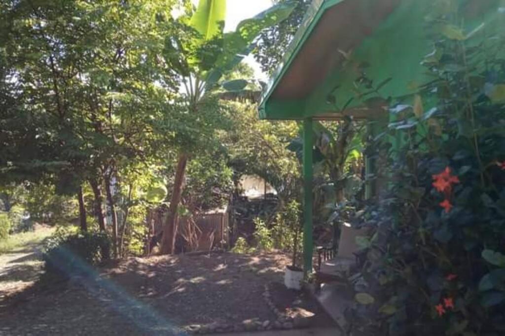 Villa Casa Flor De Annia ~ Cozy 2 Bdrm On The River Sierpe ~ Walkable To Town Exterior foto