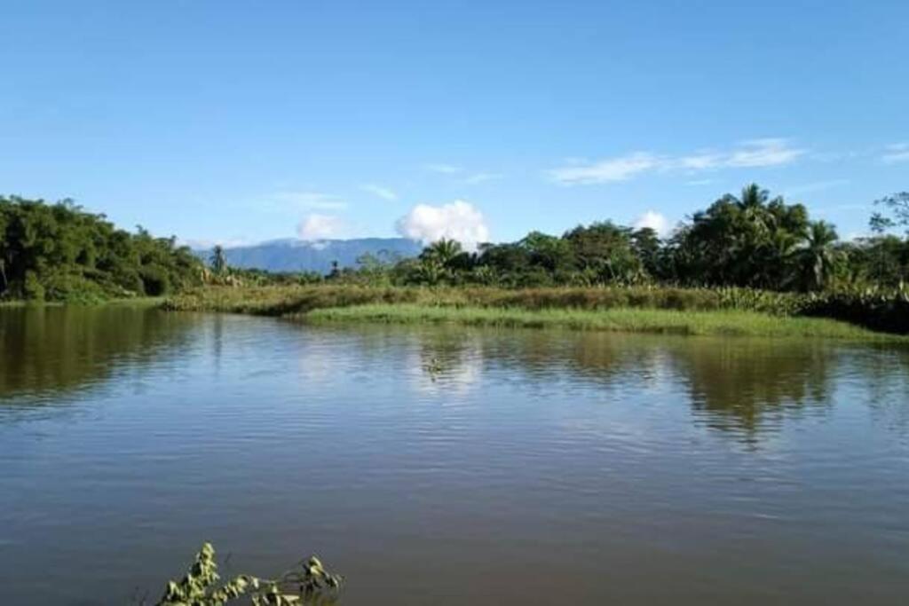 Villa Casa Flor De Annia ~ Cozy 2 Bdrm On The River Sierpe ~ Walkable To Town Exterior foto