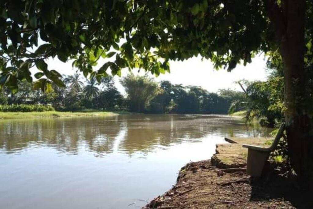 Villa Casa Flor De Annia ~ Cozy 2 Bdrm On The River Sierpe ~ Walkable To Town Exterior foto