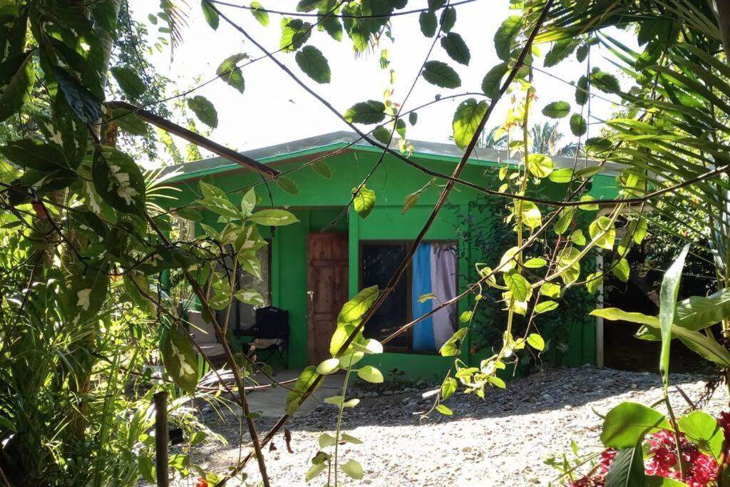Villa Casa Flor De Annia ~ Cozy 2 Bdrm On The River Sierpe ~ Walkable To Town Exterior foto