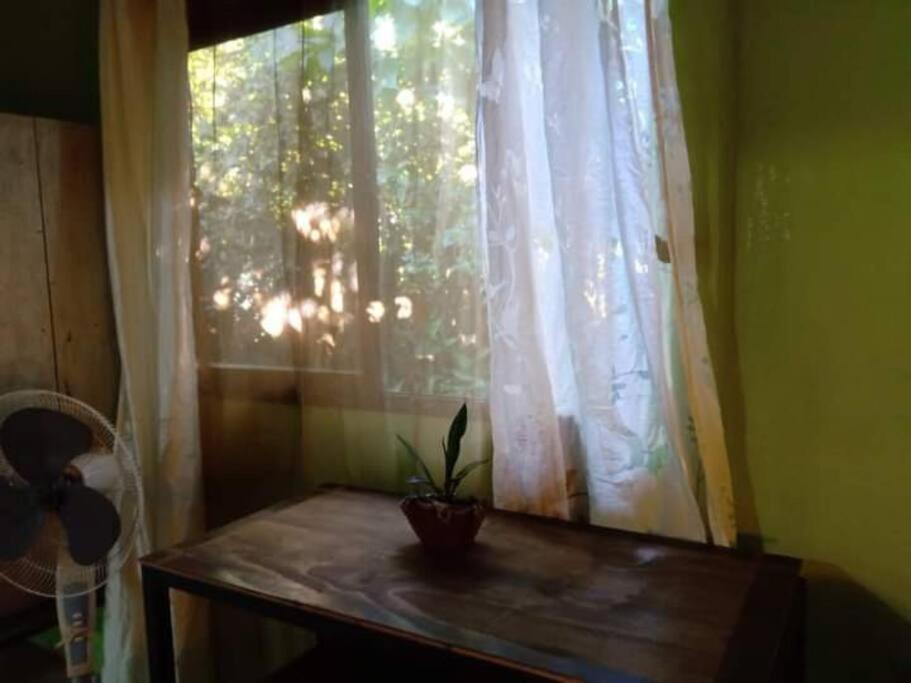 Villa Casa Flor De Annia ~ Cozy 2 Bdrm On The River Sierpe ~ Walkable To Town Exterior foto