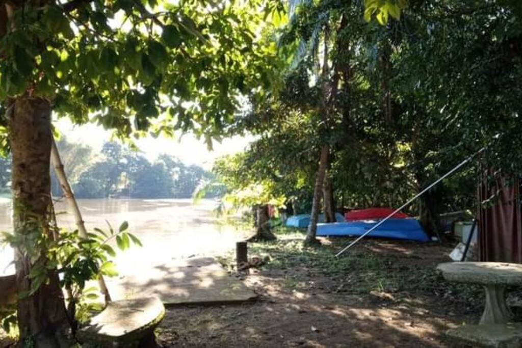 Villa Casa Flor De Annia ~ Cozy 2 Bdrm On The River Sierpe ~ Walkable To Town Exterior foto